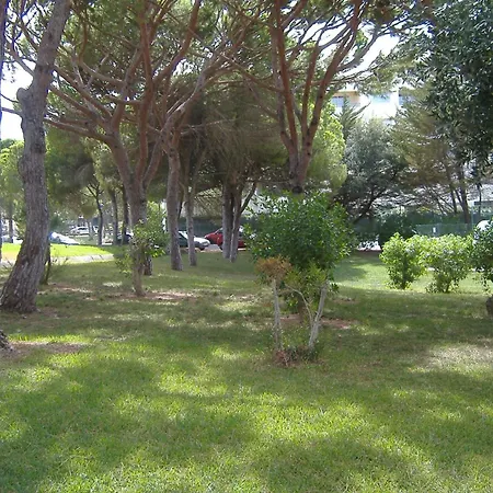 Charming House In With Shared Pool * אלבופיירה
