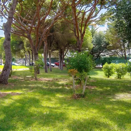 Charming House In With Shared Pool Albufeira