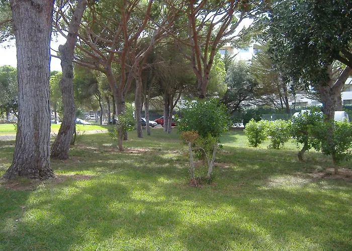 Charming House In With Shared Pool * Albufeira